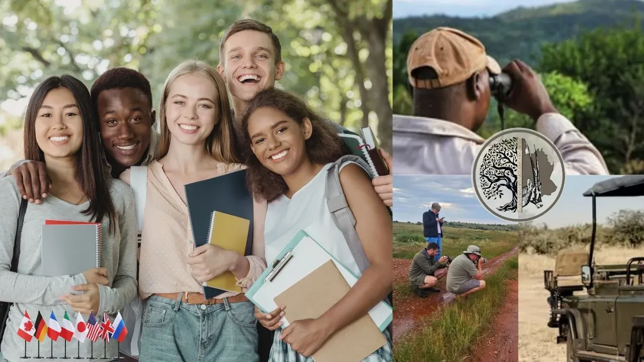 International Education Programmes