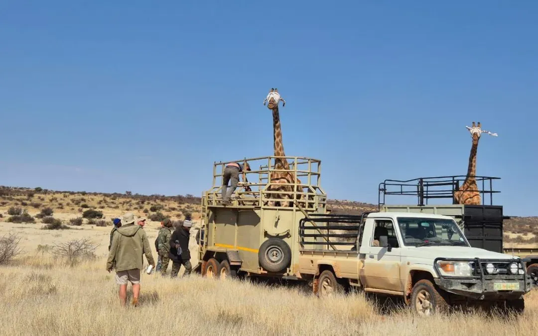 Discover Key Highlights from Kukama’s Season of Growth